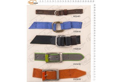 Fibbie doppio anello